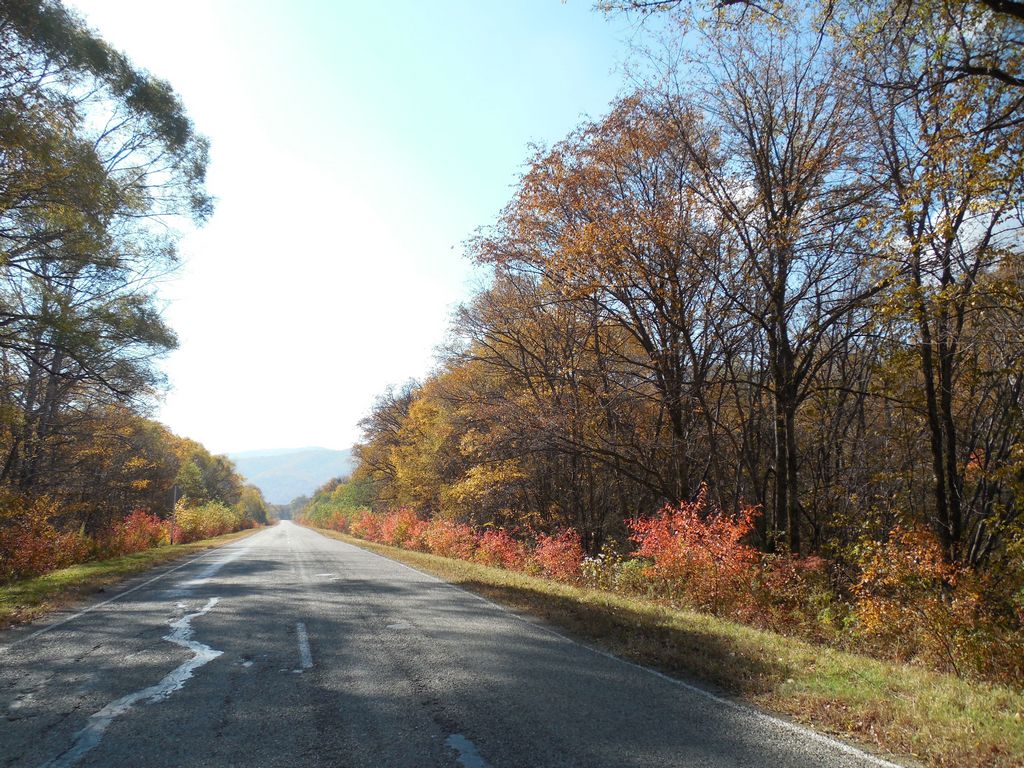 Осенние краски по пути в Ольгу