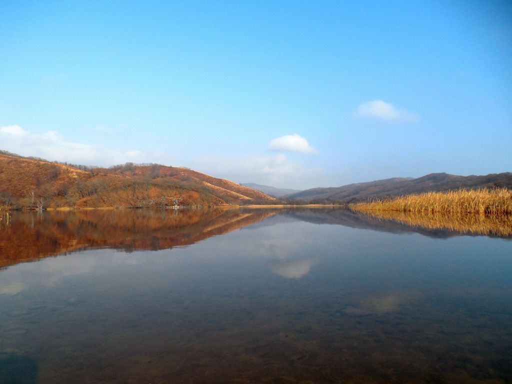 Озеро в Шепалово