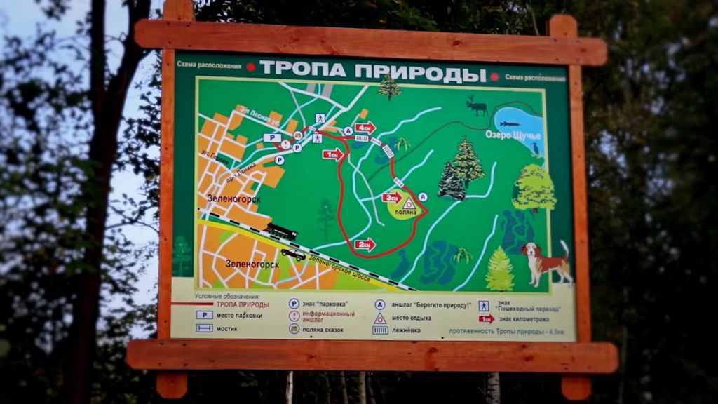 маршрут экологической тропы в Зеленогорске