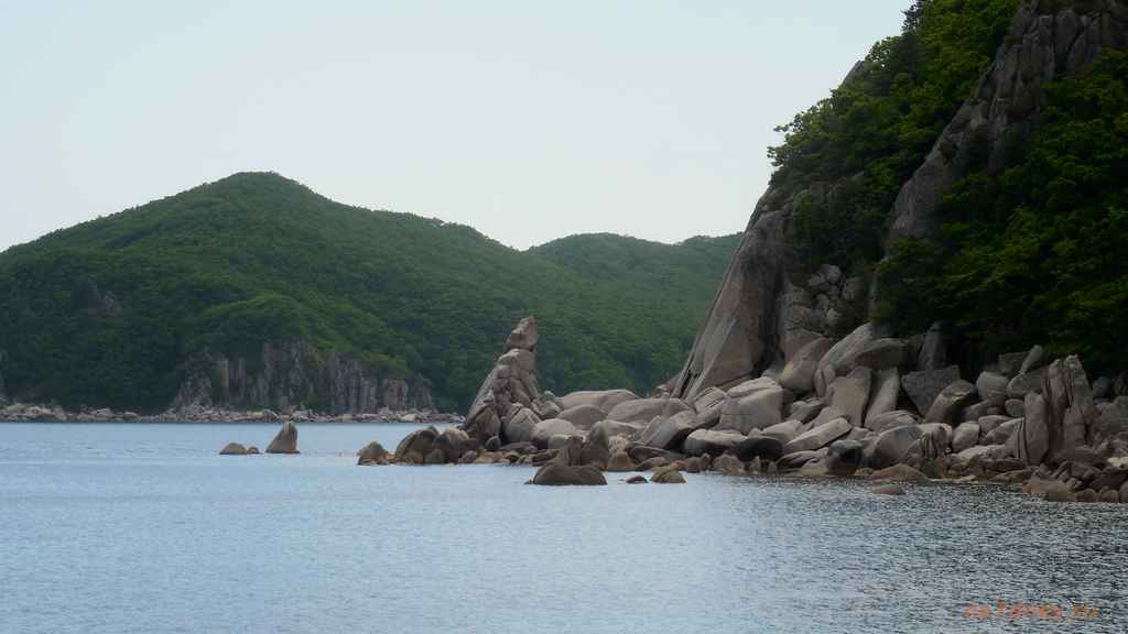 湾Okunevaya PRIMOR
