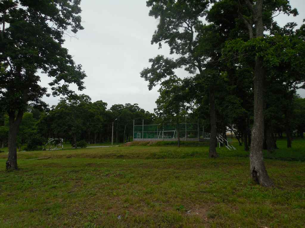 футбольное поле на базе Зеленый мыс в Приисковом