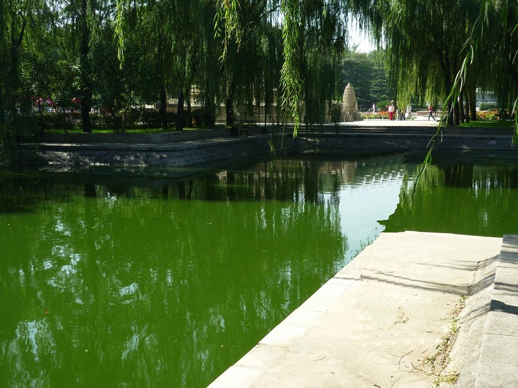 Парк Мира в Пекине, озеро с карпами