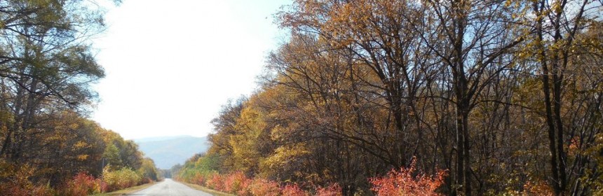 Осенние краски по пути в Ольгу
